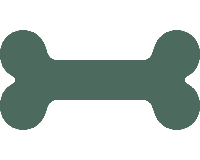 svgviewer-png-output (5)